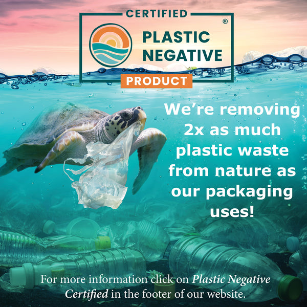 Autoimmune Condition Remedy for Dogs and Cats – The Pet Health