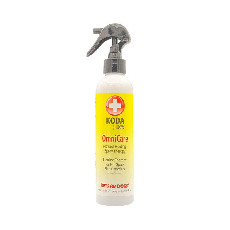 Can I spray this on bed sheets/sofa?