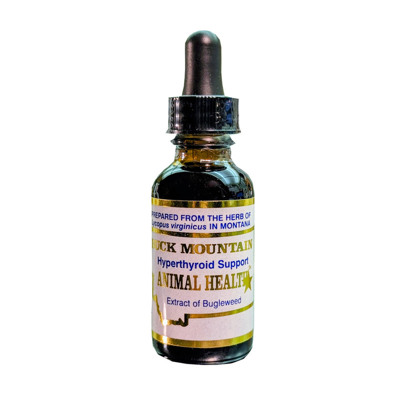 Buck Mountain Bugleweed for Cats