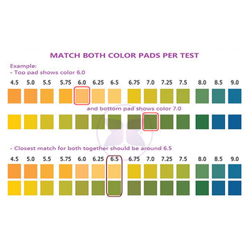 pH Urine Color Chart for Dogs and Cats