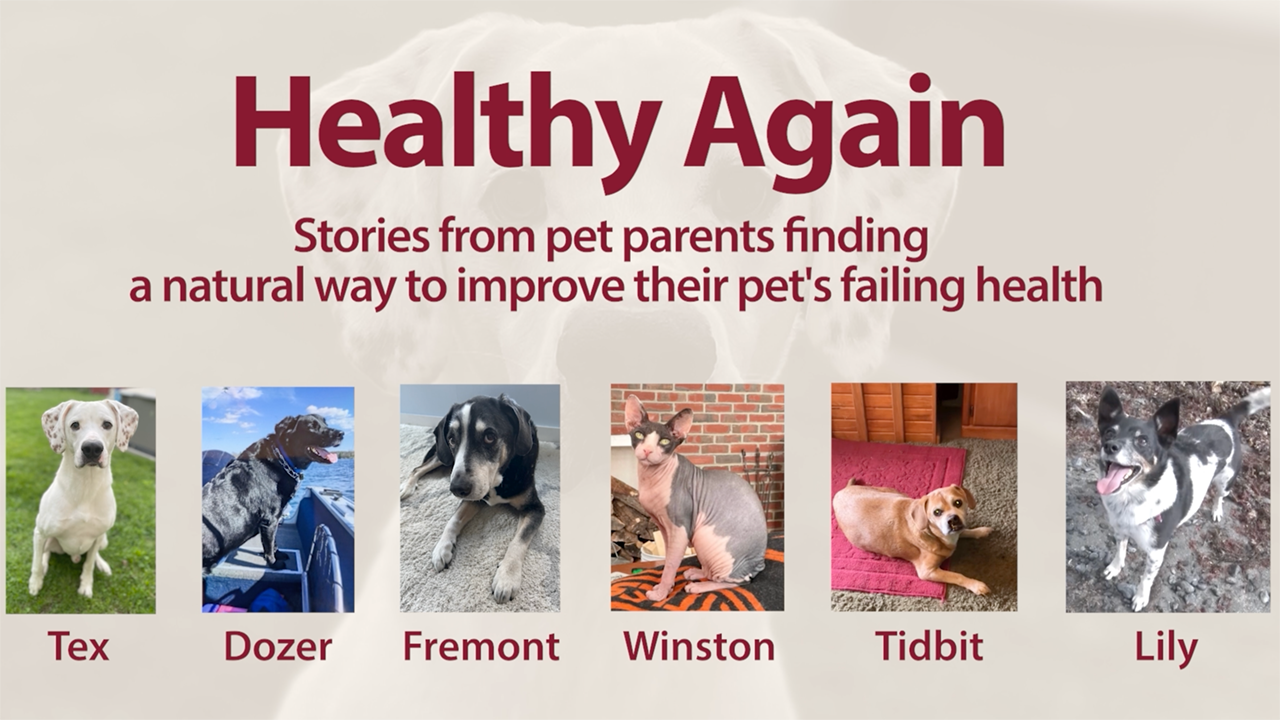 The Pet Health and Nutrition Center