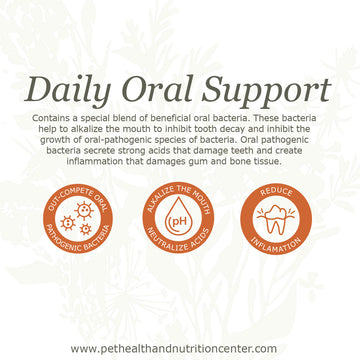 Daily Oral Care for Dogs and Cats