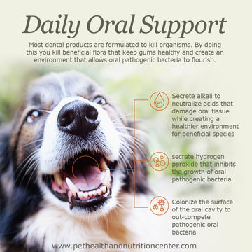 Daily Oral Care for Dogs and Cats