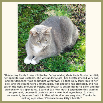 Cat Organic Multivitamin Testimonial