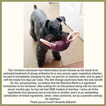 Dog Diarrhea Relief Remedy Testimonial