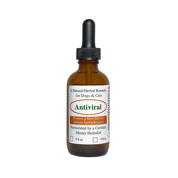 Antiviral Remedy for Dogs and Cats