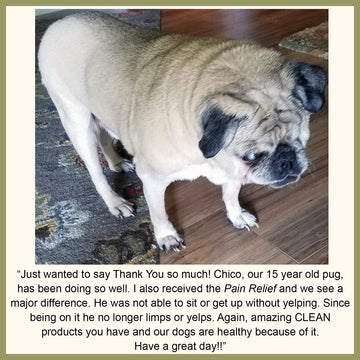 Natural Dog Pain Relief Testimonial
