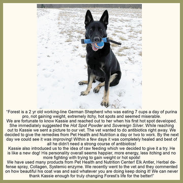 Dog Hot Spot Powder Remedy Testimonial