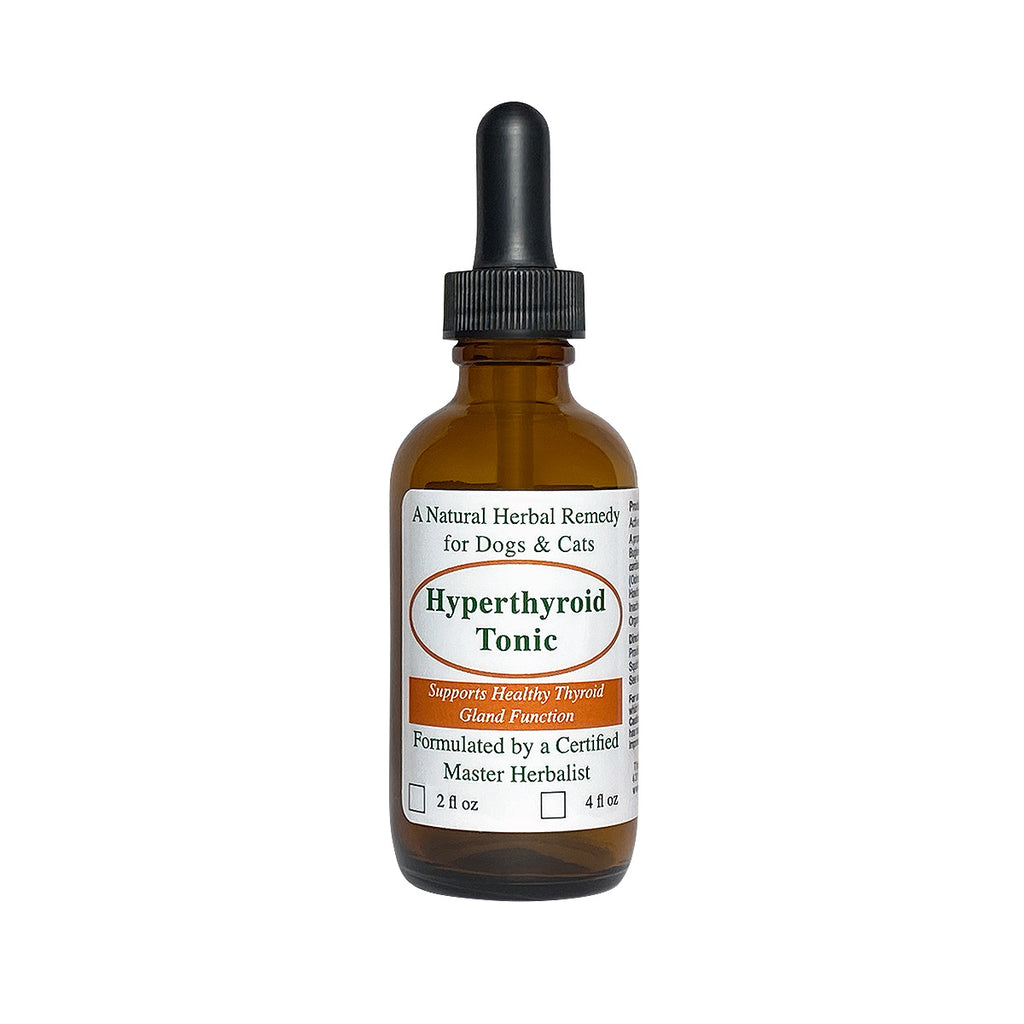 l carnitine for cats hyperthyroid Hyperthyroid Cat Remedy – The Pet Health and Nutrition Center