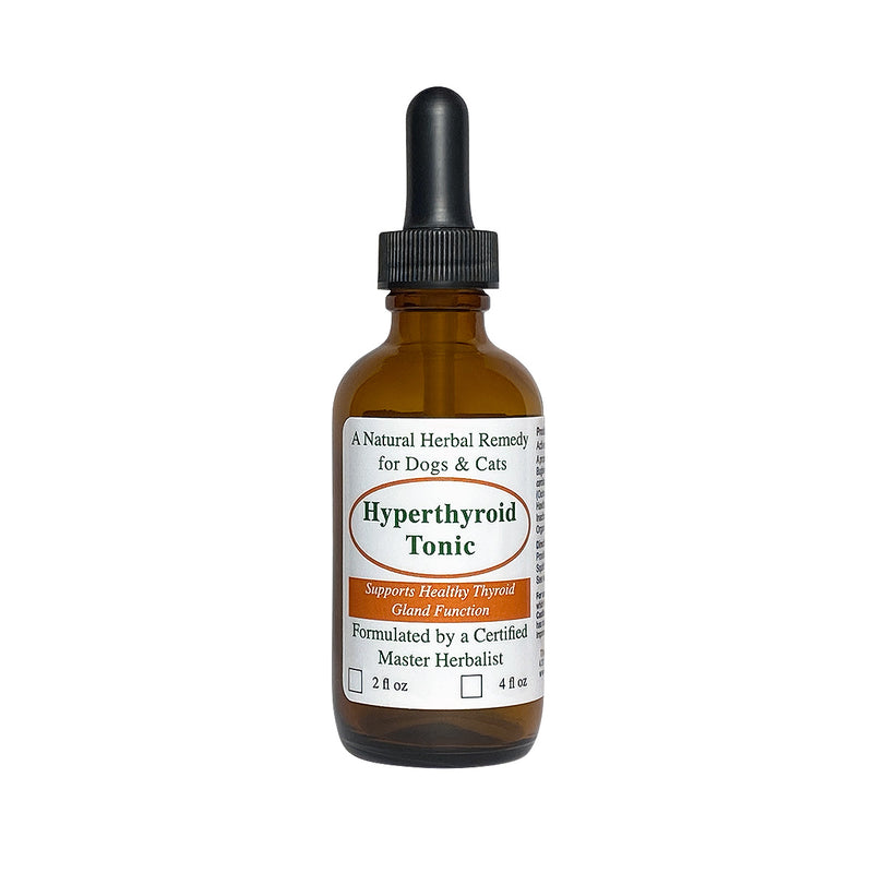 Cat Natural Hyperthyroidism Supplements – The Pet Health and Nutrition Center