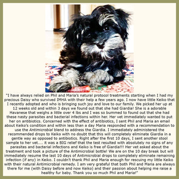 Dog Natural Antimicrobial Testimonial