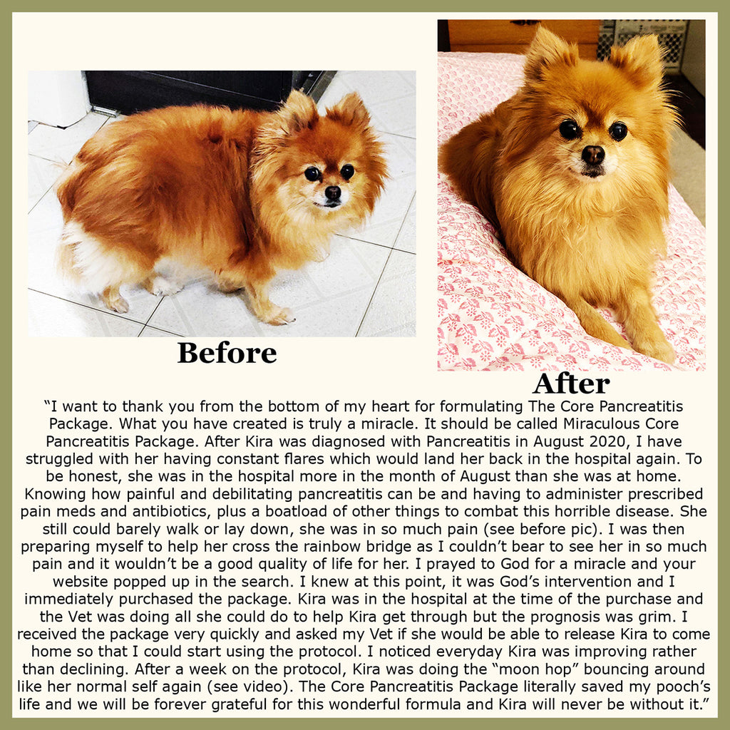 A closer look at Banana And Pancreatitis Dog Stress Relief Supplements