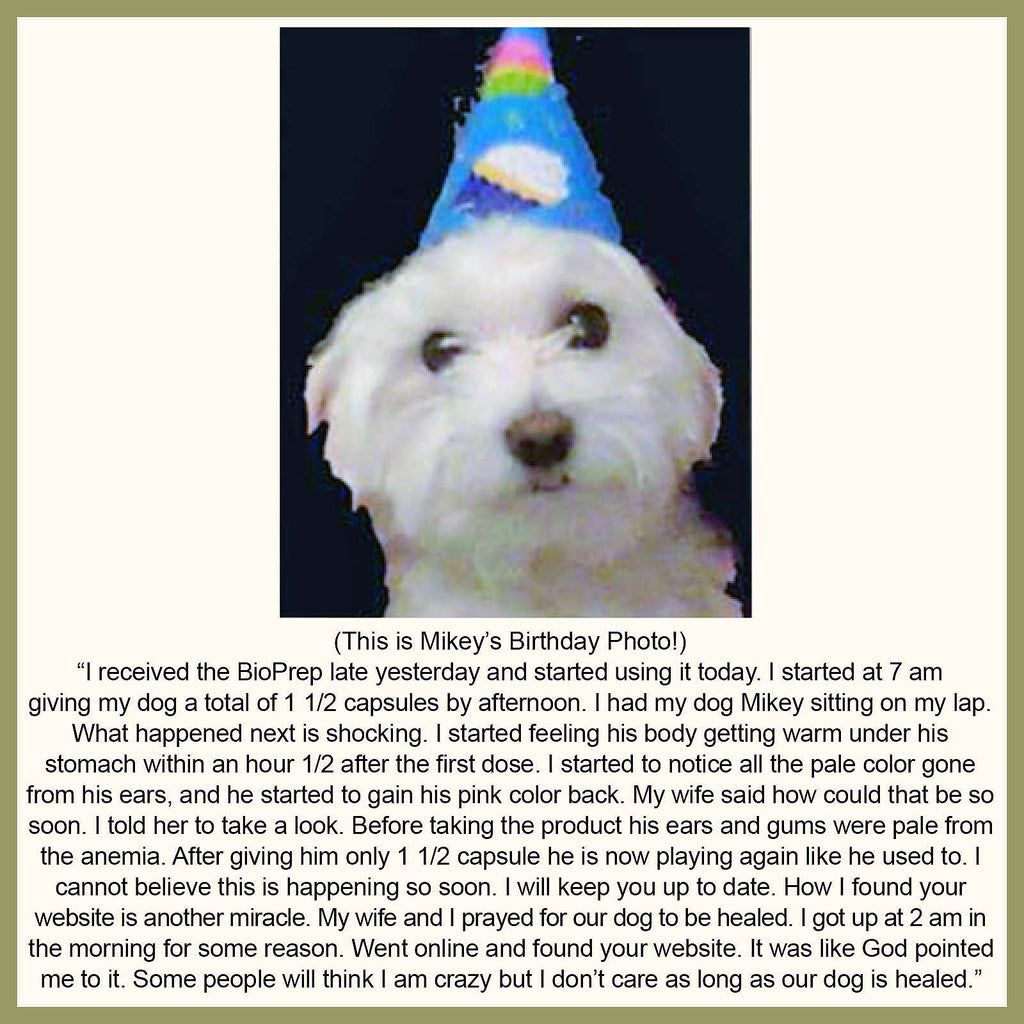 Biopreparation for Dogs and Cats Client Testimonial