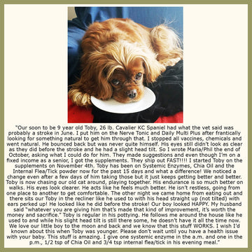 Systemic Enzyme Formula for Dogs