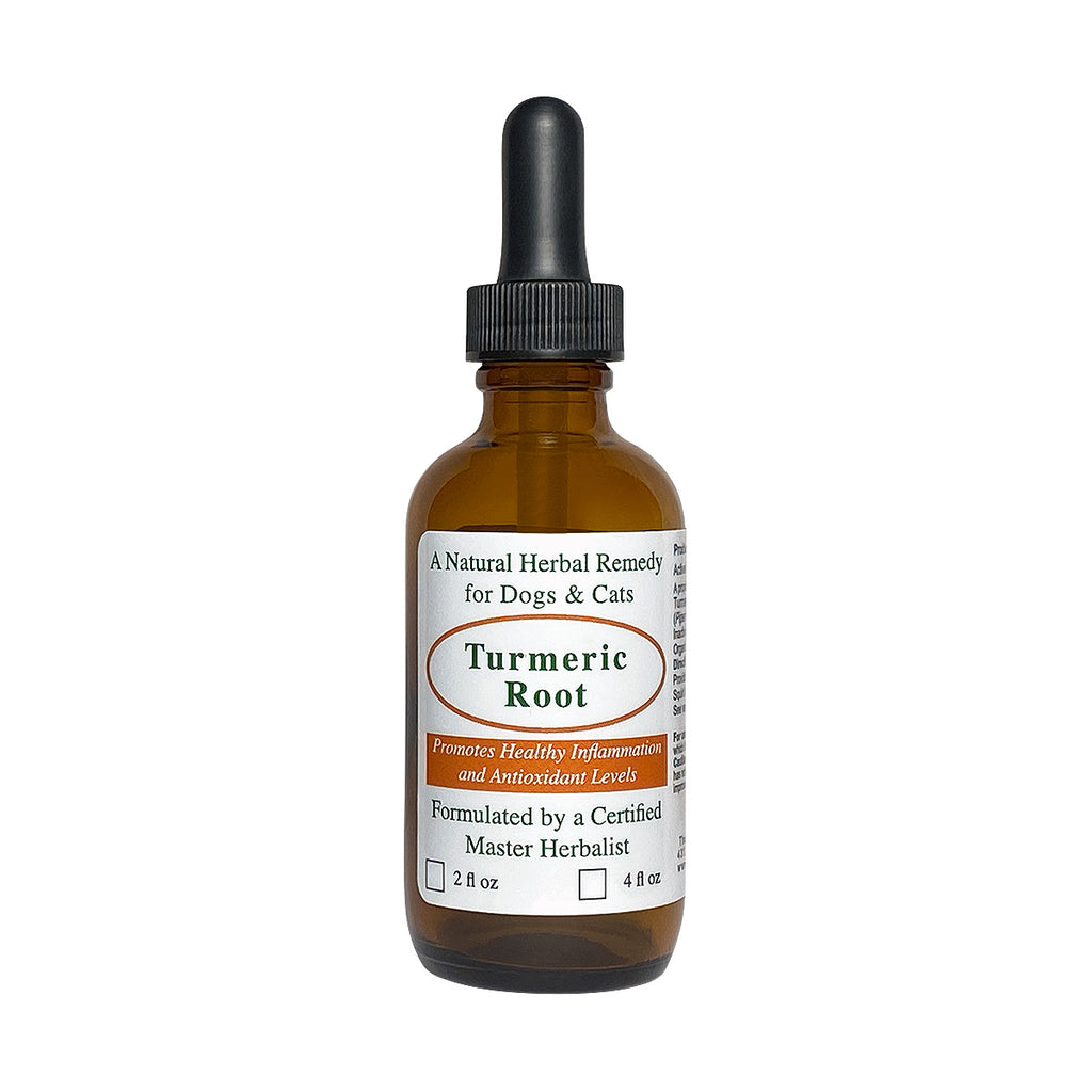Turmeric Root for Dogs and Cats
